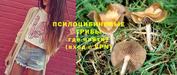 спиды Беломорск