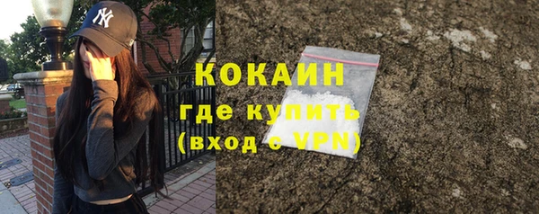 индика Балабаново